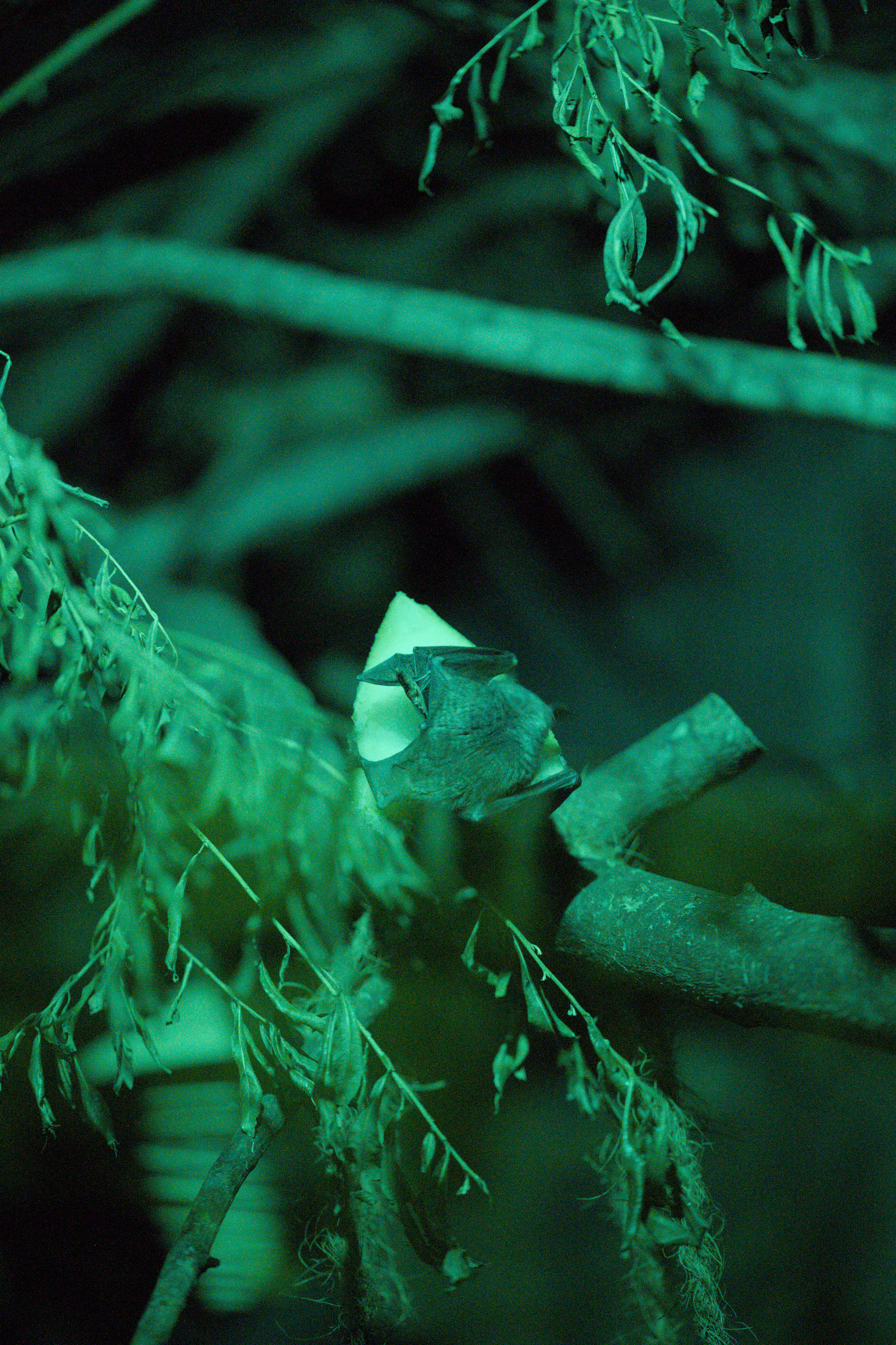 2025/10/12 - zoo/DSC_0274.jpg